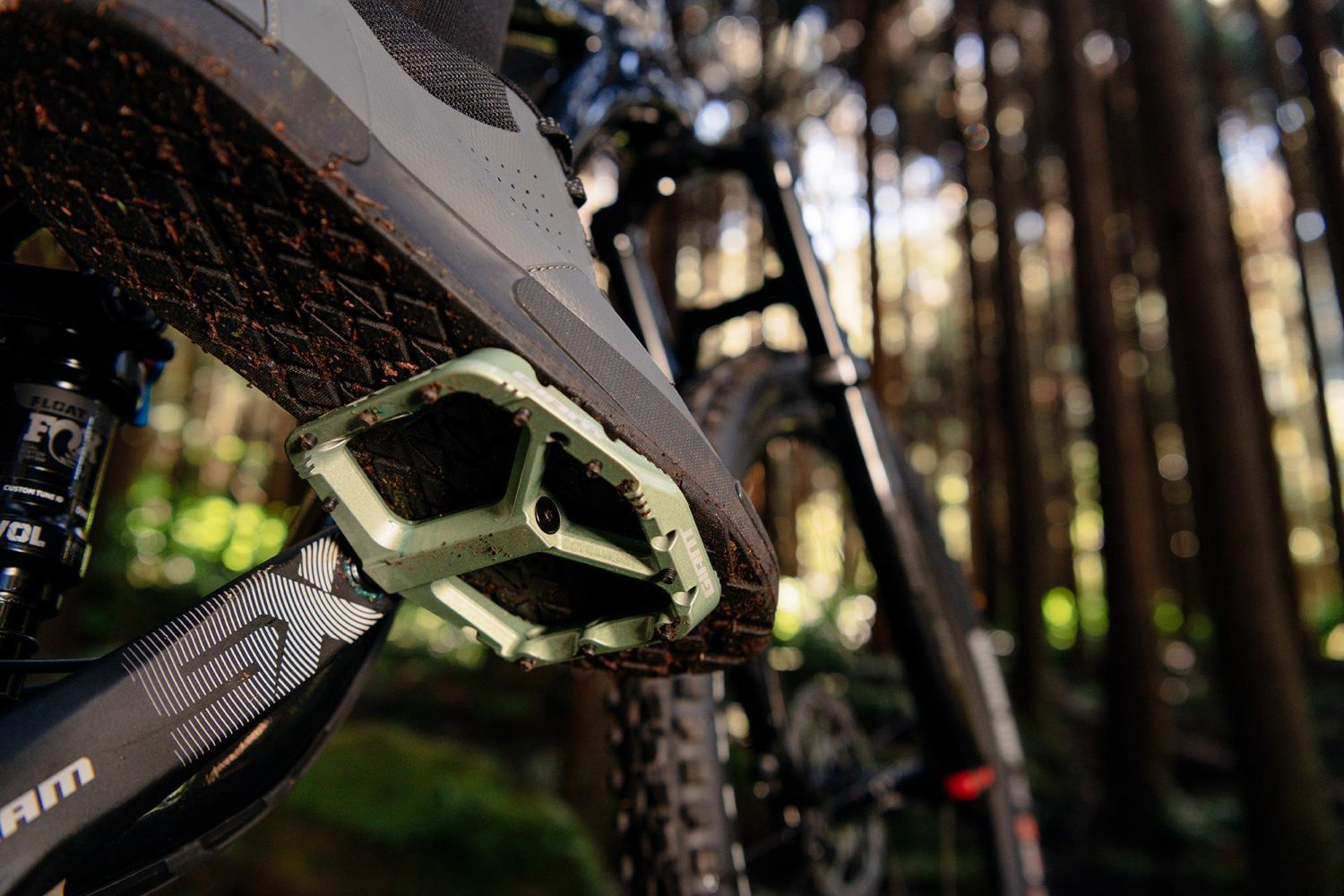 Shimano Store -Shimano Store 27440138 1920 1920